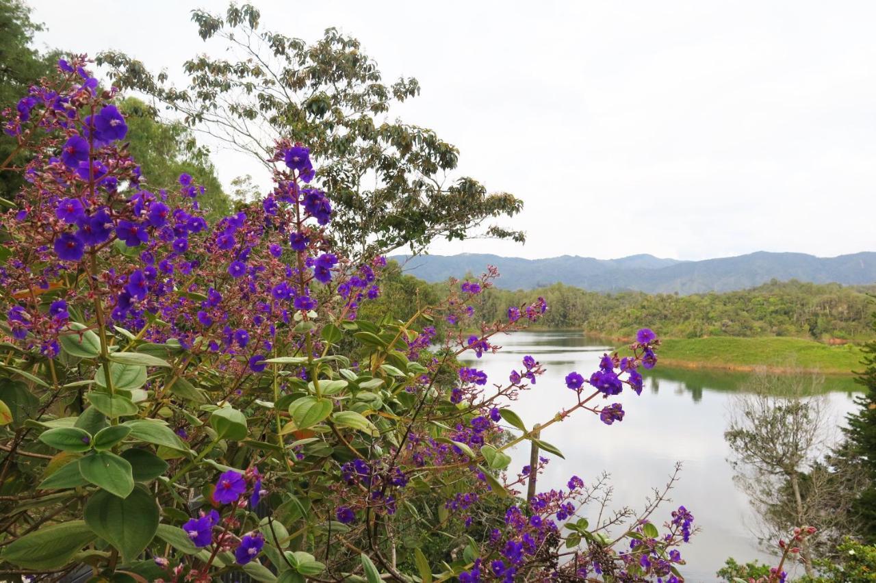 Ecolodge Bahia Del Penon Guatapé Buitenkant foto